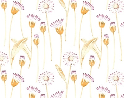 Lilac 1